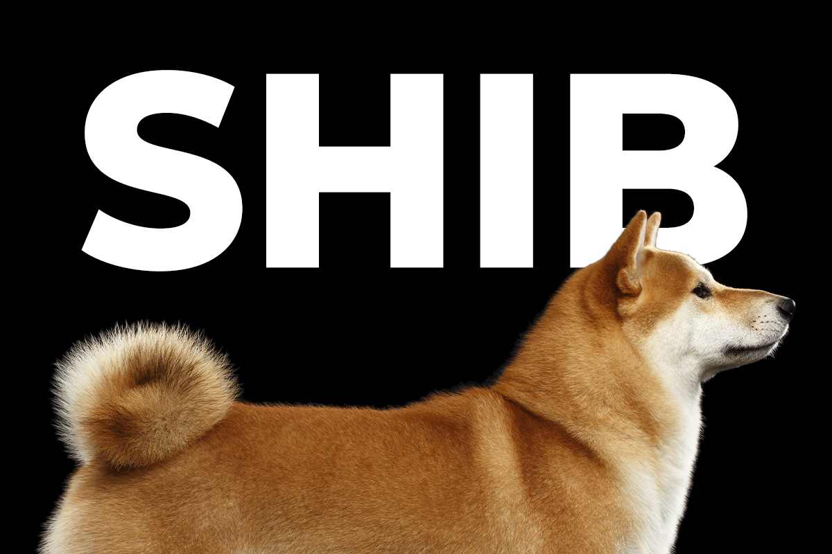 Shiba Inu Fonlama Oranları Negatife Döndü: Ayı Tuzağı mı?
