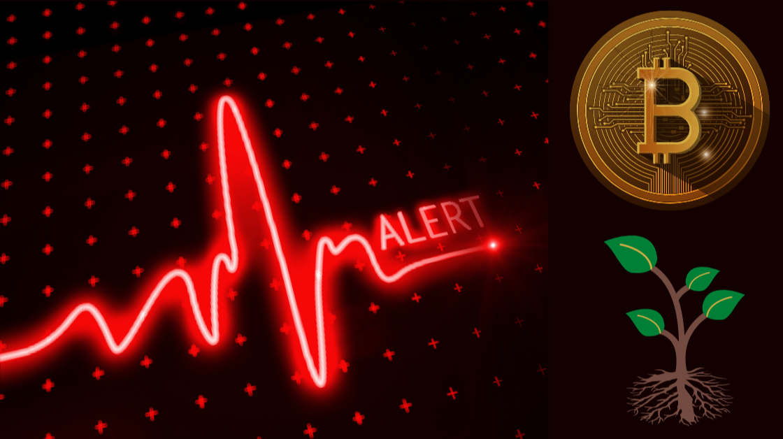 Bitcoin Çöküşü Devam Ediyor: 25 Bin Dolar Kırılabilir mi?