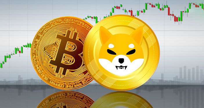 Bitcoin Rallisi Shiba Inu İçin Destek mi Yoksa Köstek mi Olacak?