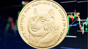 Dogecoin İçin Kritik Seviye Açıklandı: Mega Ralli Geliyor mu?