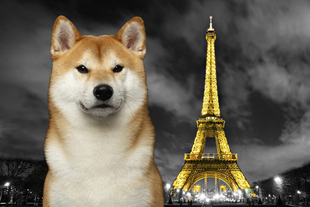 Shiba Inu (SHIB)'ya Paris'ten Ripple (XRP)'a İse Brüksel'den İyi Haber Var!