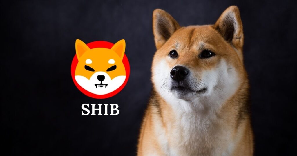 Bloomberg Ses Getirecek Shiba Inu Raporunu Yayımladı: Şok İfadeler!