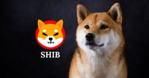 Bloomberg Ses Getirecek Shiba Inu Raporunu Yayımladı: Şok İfadeler!