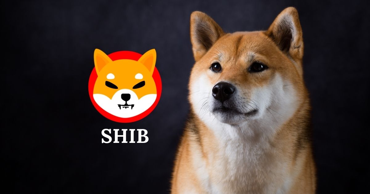 Bloomberg Ses Getirecek Shiba Inu Raporunu Yayımladı: Şok İfadeler!