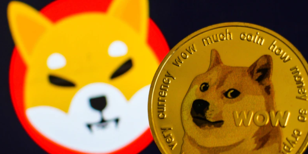 Köpek yarışını Shiba Inu mu Dogecoin mi kazanır?
