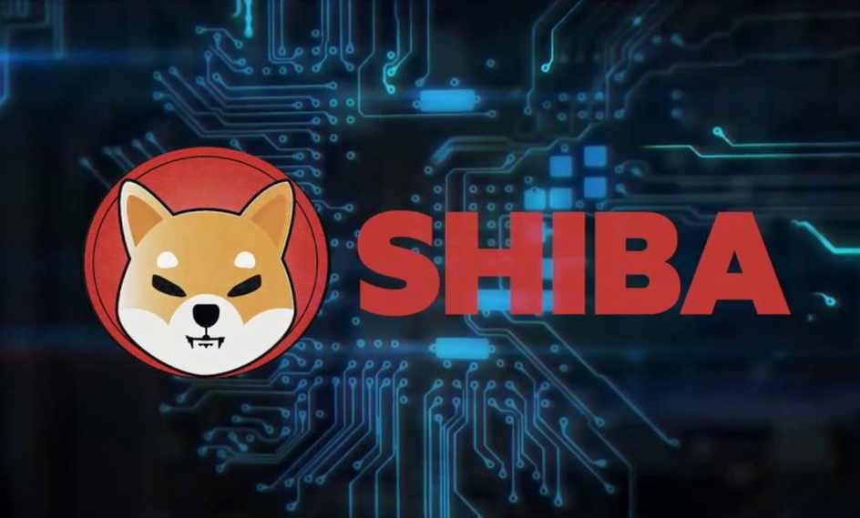 Teknik Analistten Shiba Inu Yorumu: Sıradaki Ralli Bu Faktöre Bağlı!