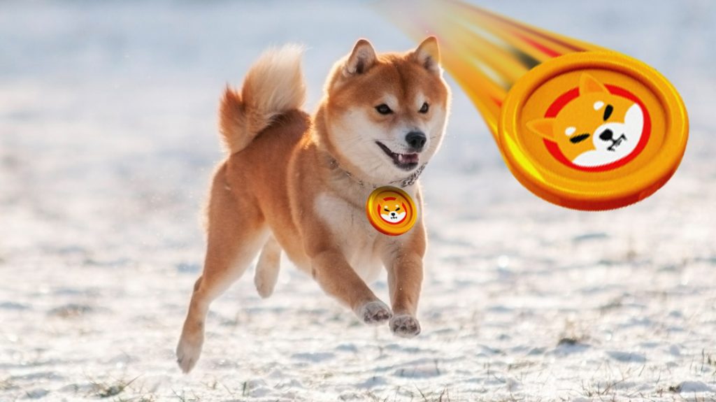 Shiba Inu Balinaları Harekete Geçti: Analistlerden Kritik Ralli Açıklaması