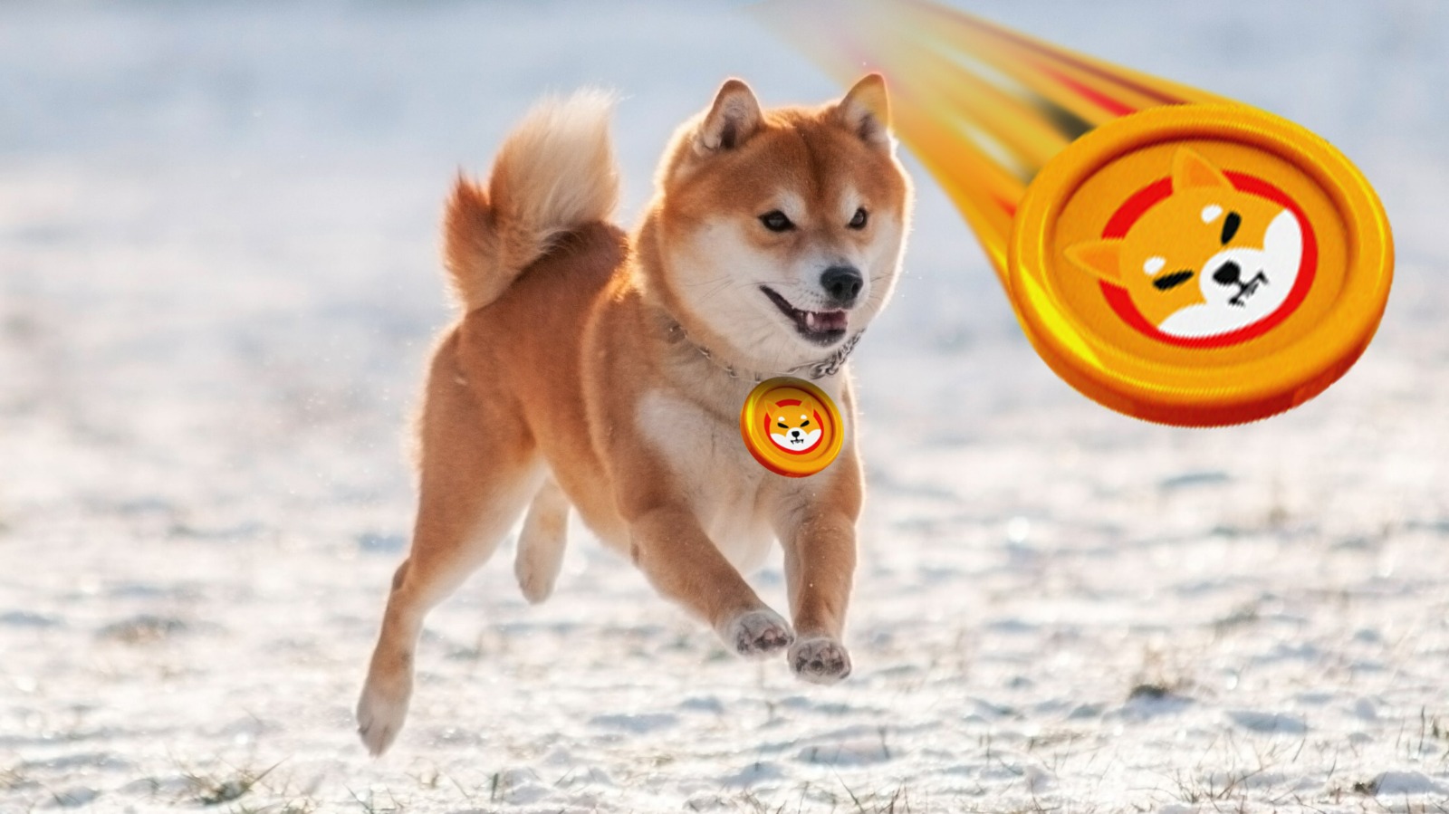 Shiba Inu Balinaları Harekete Geçti: Analistlerden Kritik Ralli Açıklaması