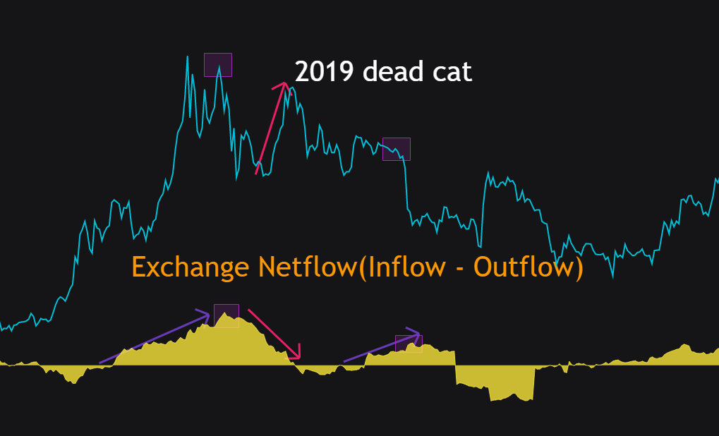 2019 yılı - Bitcoin ölü kedi sıçraması