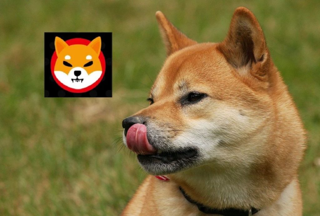 Shiba Inu (SHIB) satmanın en önemli nedenleri