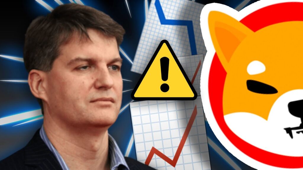2008 Krizini Bilen Ünlü Ekonomistten Kritik Shiba Inu ve DOGE Açıklaması!