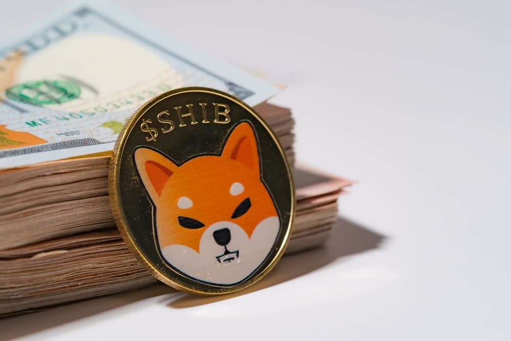 Shiba Inu İçin Kritik Direnç Noktası Açıklandı: SHIB Dönüm Noktasında!