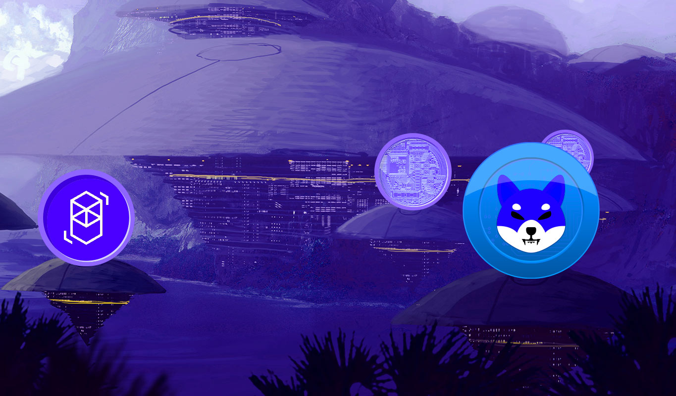 Popüler Analistten Shiba Inu, MATIC ve 2 Altcoin için ATH Yorumu: Bu Seviyeler Mümkün