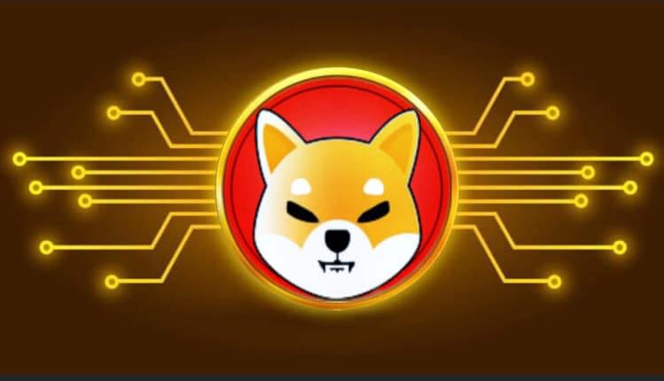 Shiba Inu