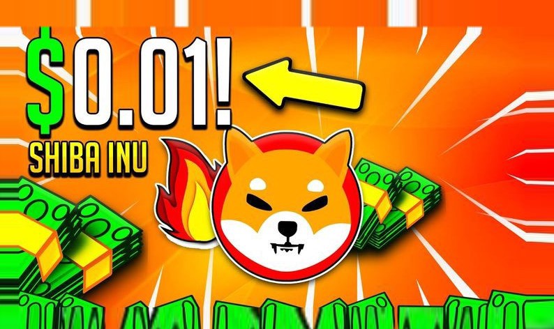 Shiba Inu New York'u Fethetmişti: Gerçek Sonradan Ortaya Çıktı!