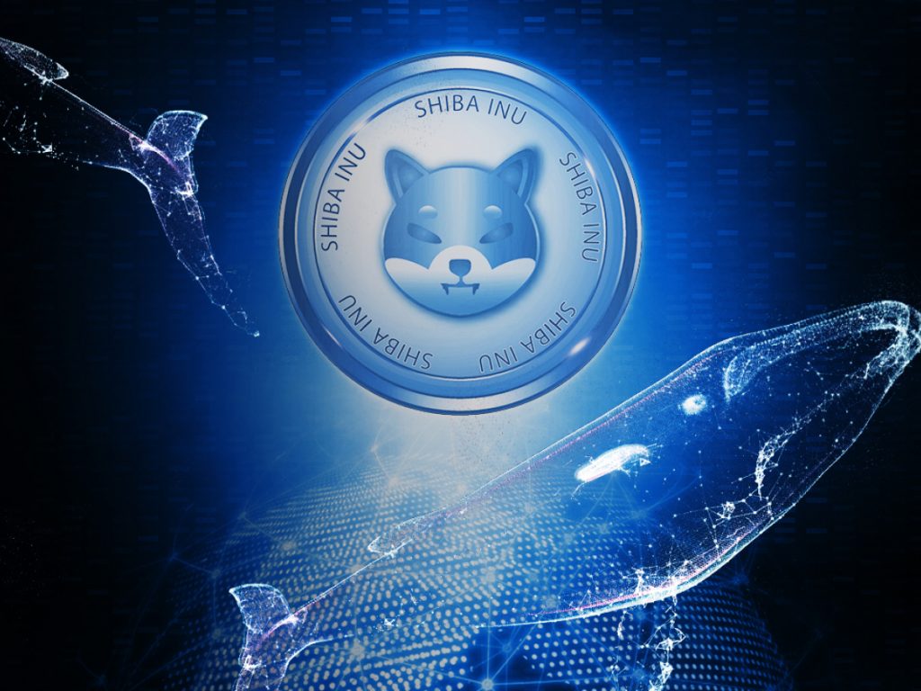 Shiba Inu Balinaları Boş Durmuyor: SHIB, Ethereum'u Geride Bıraktı