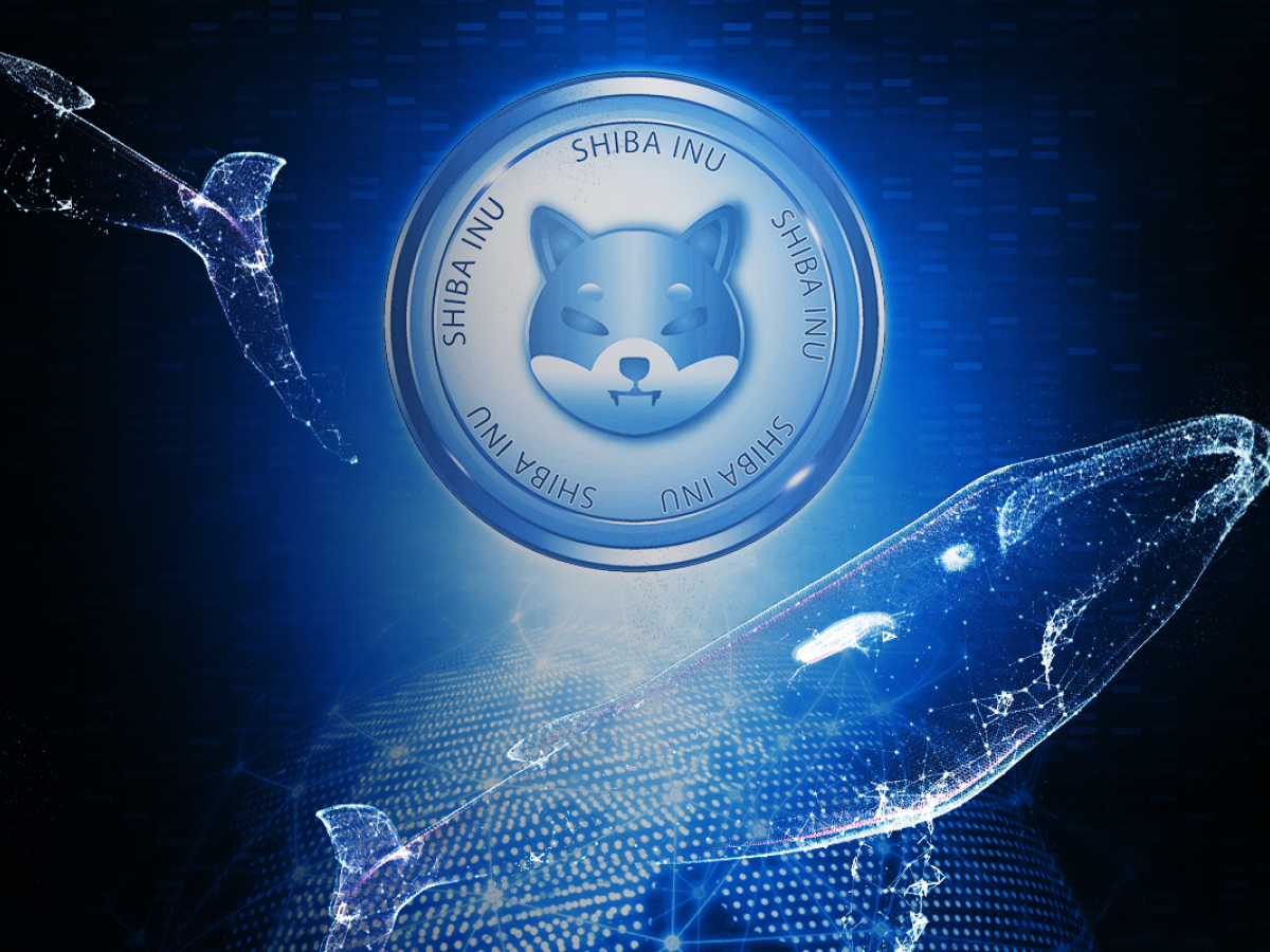 Shiba Inu Balinaları Boş Durmuyor: SHIB, Ethereum'u Geride Bıraktı