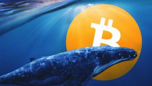Bitcoin Balinaları Agresif Bir Şekilde Alımlara Devam Ediyor!
