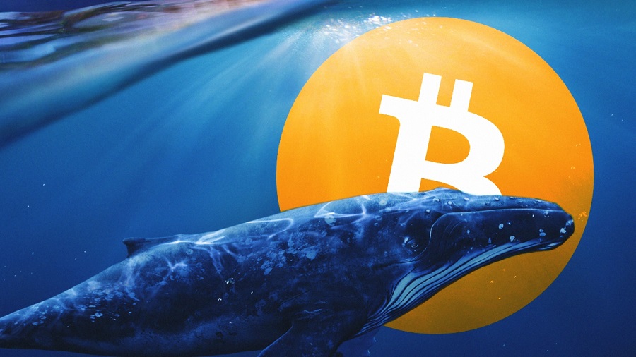 Bitcoin Balinaları Agresif Bir Şekilde Alımlara Devam Ediyor!