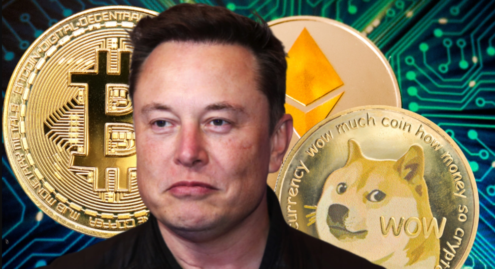 Shiba Inu (SHIB)'nun Kurucusundan Elon Musk'a Hodri Meydan!