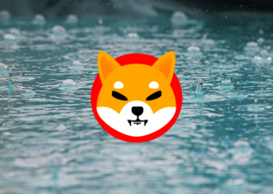 Dev Şirketten Shiba Inu Açıklaması: İki Katına Çıkacak