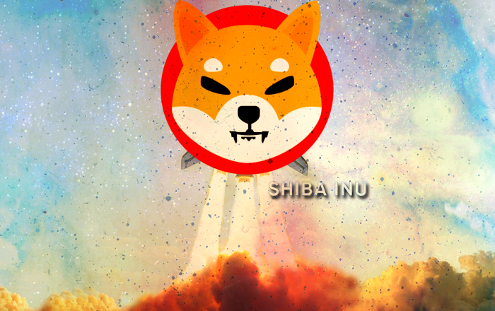 Analistten Dikkat Çeken Shiba Inu ve DOGE Yorumu: 2022!