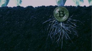 Kritik Metrikler Sinyal Veriyor: BTC Düşüşü Sona Erdi!