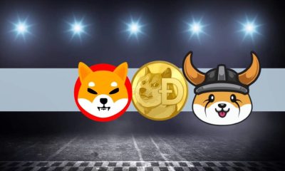 Dogecoin, SHIB ve FLOKI Fiyat Analizi: Ufukta Ralli Var mı?
