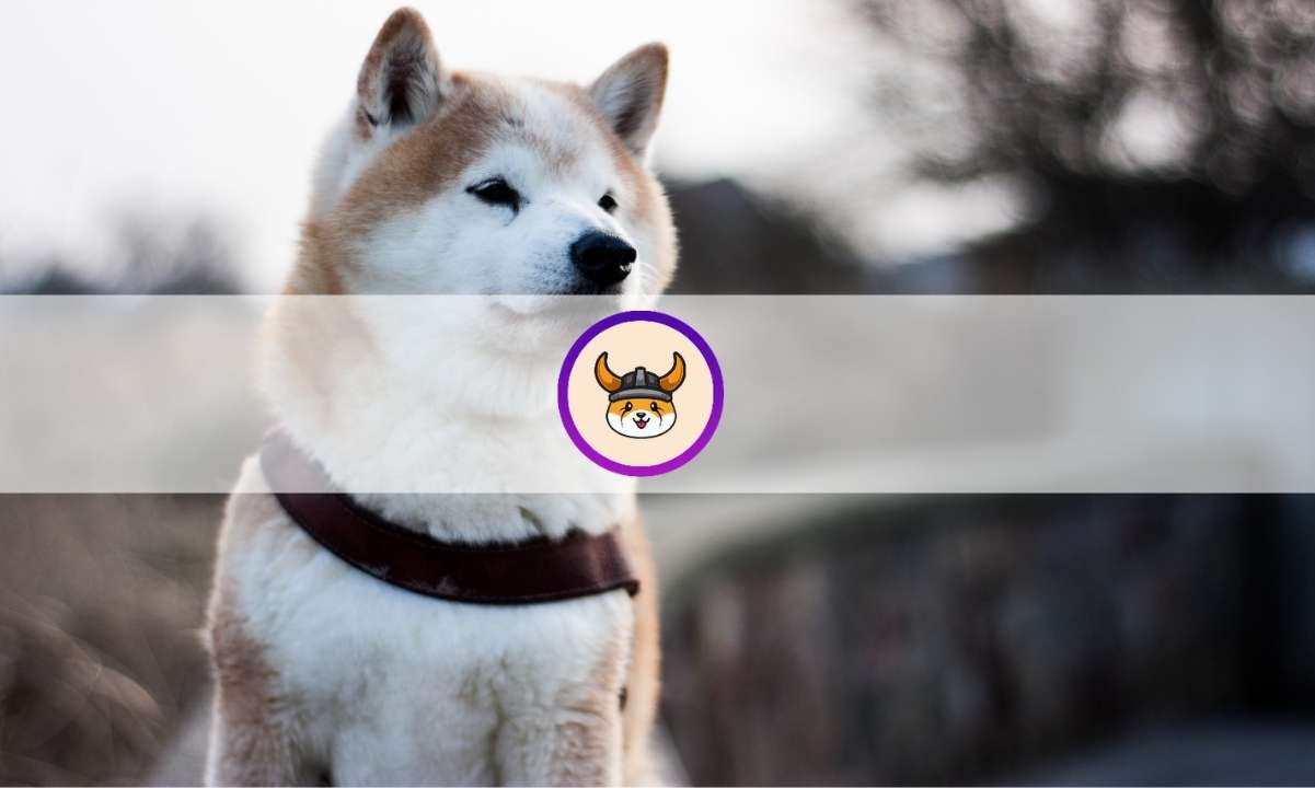 Altcoin Floki Inu