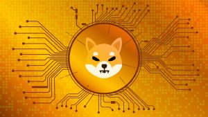 Hindistan'ın Coinbase'inden Shiba Inu ve DOGE'ye Büyük Müjde!