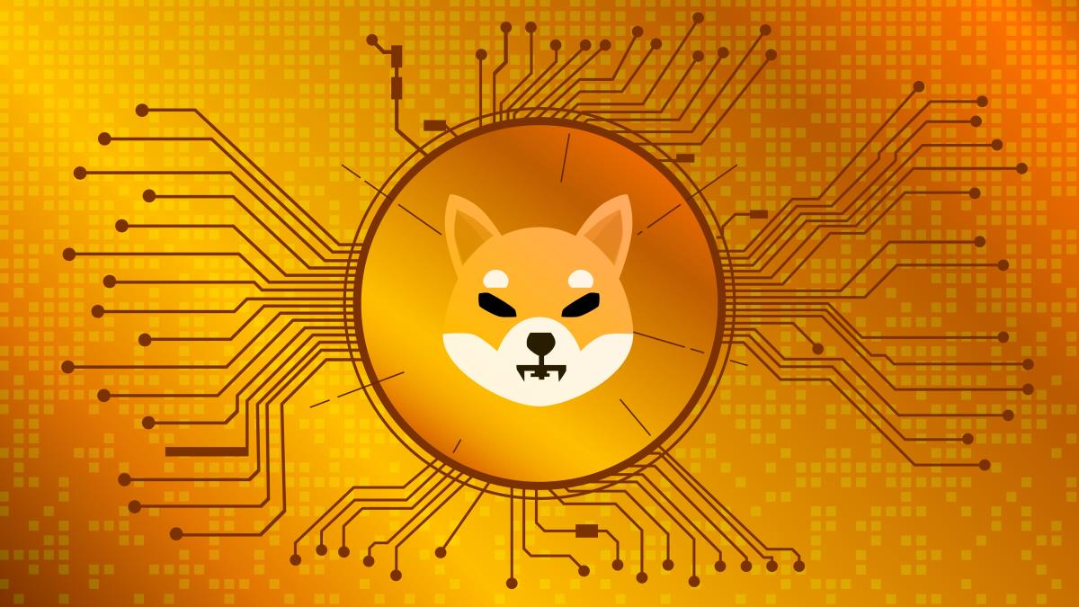 Hindistan'ın Coinbase'inden Shiba Inu ve DOGE'ye Büyük Müjde!