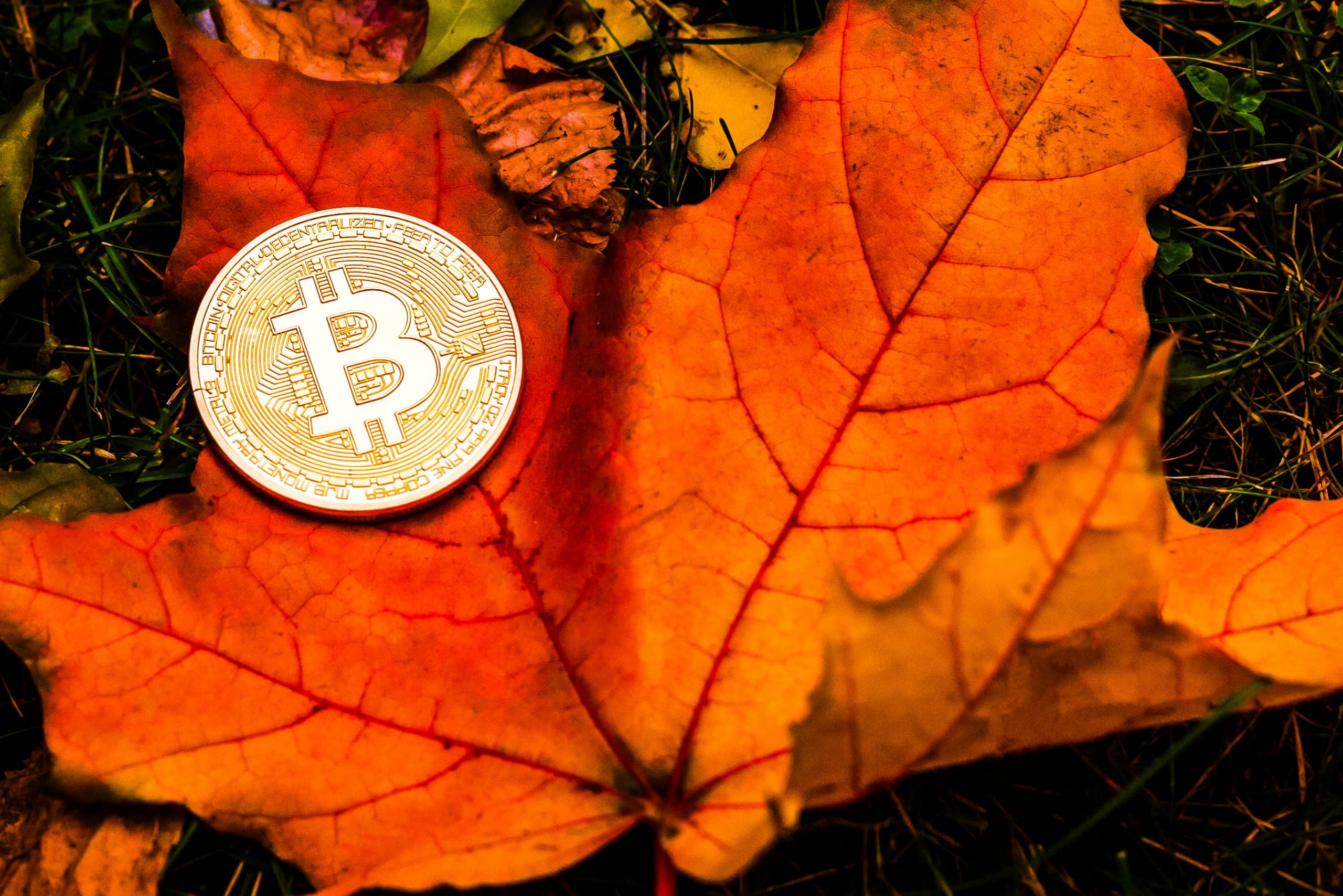 İşte Kasım Ayı için En Gerçekçi Bitcoin Tahmini: Analist Kritik Verileri Açıkladı!