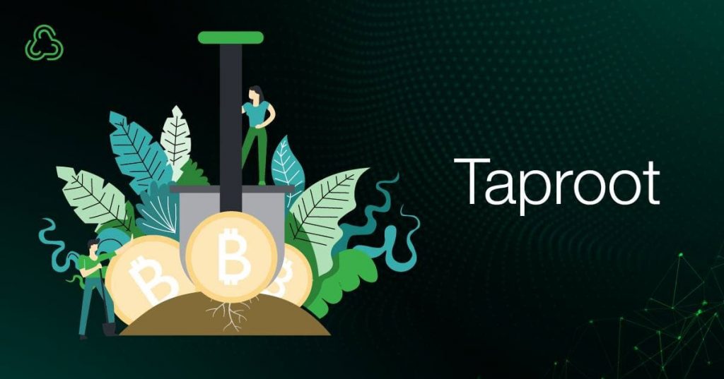 Taproot Güncellemesine 2 Gün Kaldı: Bitcoin Fiyatı Artacak mı?
