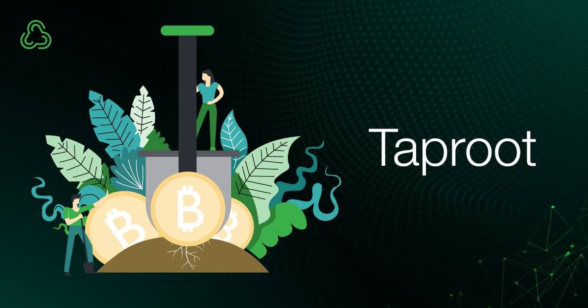 Taproot Güncellemesine 2 Gün Kaldı: Bitcoin Fiyatı Artacak mı?