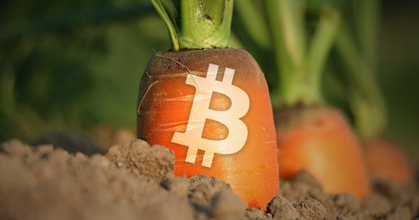 Bitcoin Taproot Güncellemesi Neden Fiyatı Yükseltmedi?