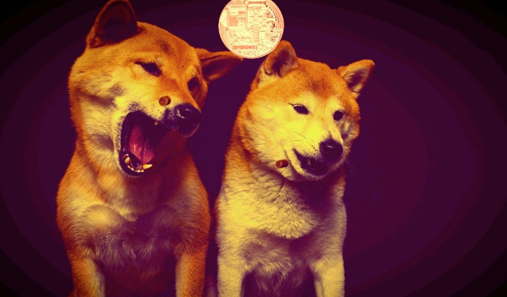 Bu Meme Altcoin SHIB'i Geride Bıraktı: Yatırımcı Sayısı Fırladı!