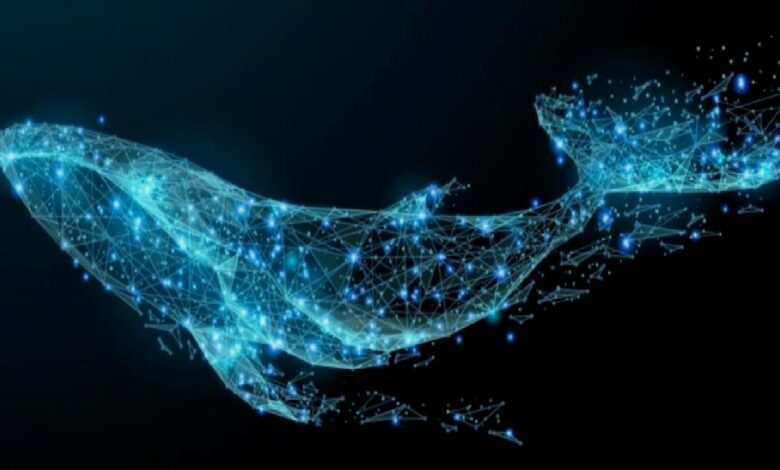 Bu Altcoin Balinaların Yeni Gözdesi Olmayı Başardı