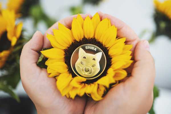 Shiba Inu (SHIB)'ya Brezilya'dan Müjde! İşte Ayrıntılar
