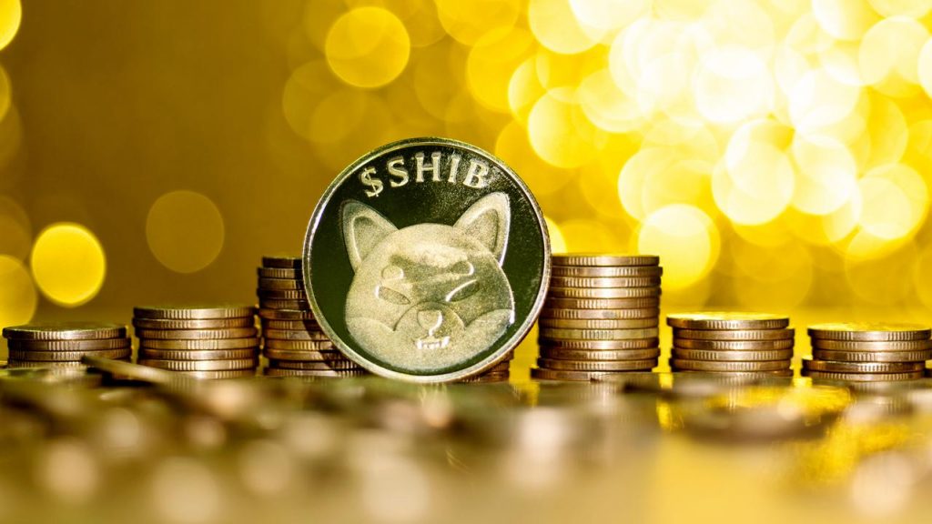 Analist: 3 Altcoin 2022’de SHIB’den Daha İyi Performans Sergileyecek