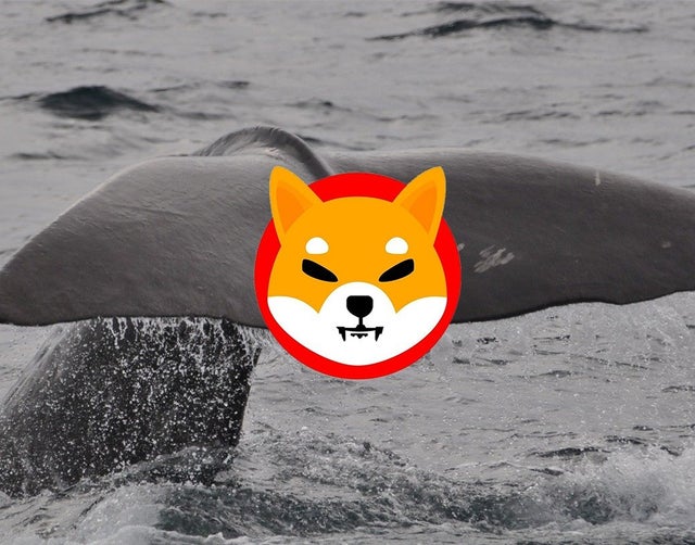 Shiba Inu (SHIB) Balinaları Hakimiyeti Kaybediyor!