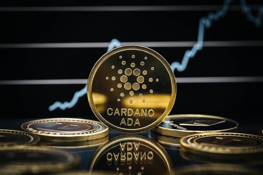 Uzmanlardan Kritik Cardano Yorumu: Dönüm Noktasında mı?