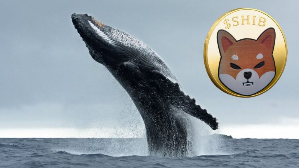 Shiba Inu Zulalayan Balina Bu Altcoin’i Biriktiriyor