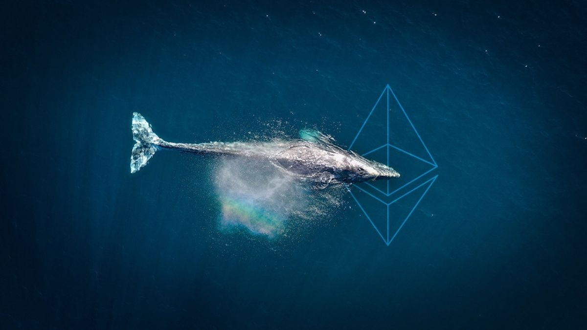 Santiment, 7 Altcoin Projesine Dikkat Çekti: İşlem Hacmi!