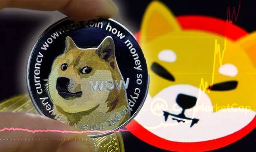 Analiste Göre 2 Altcoin SHIB ve DOGE'u Geride Bırakacak