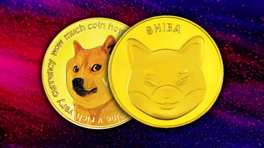 Dogecoin Rakibi Altcoin Uçuşa Geçti!