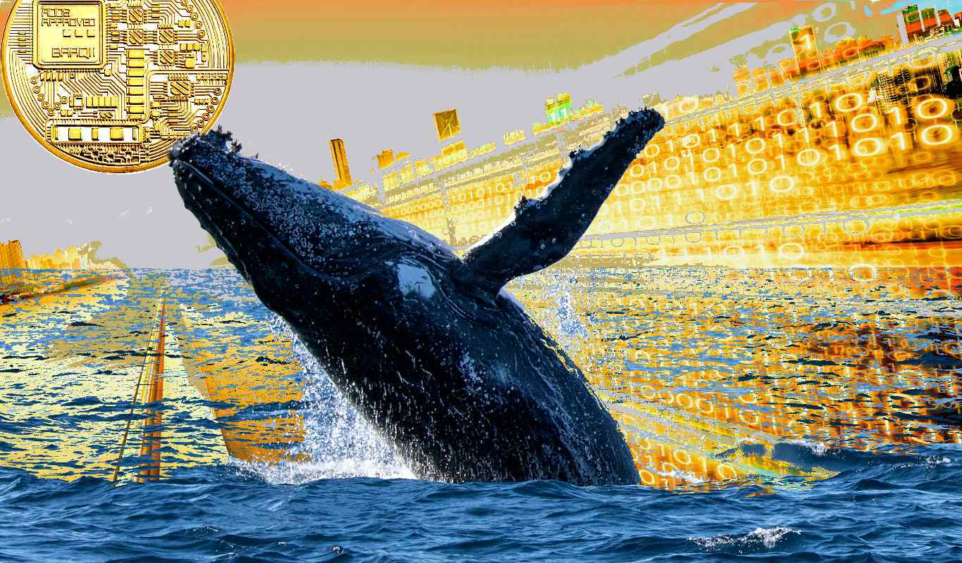 Santiment'ten Kritik Açıklama: 2 Altcoin Balinaların Radarına Girdi!