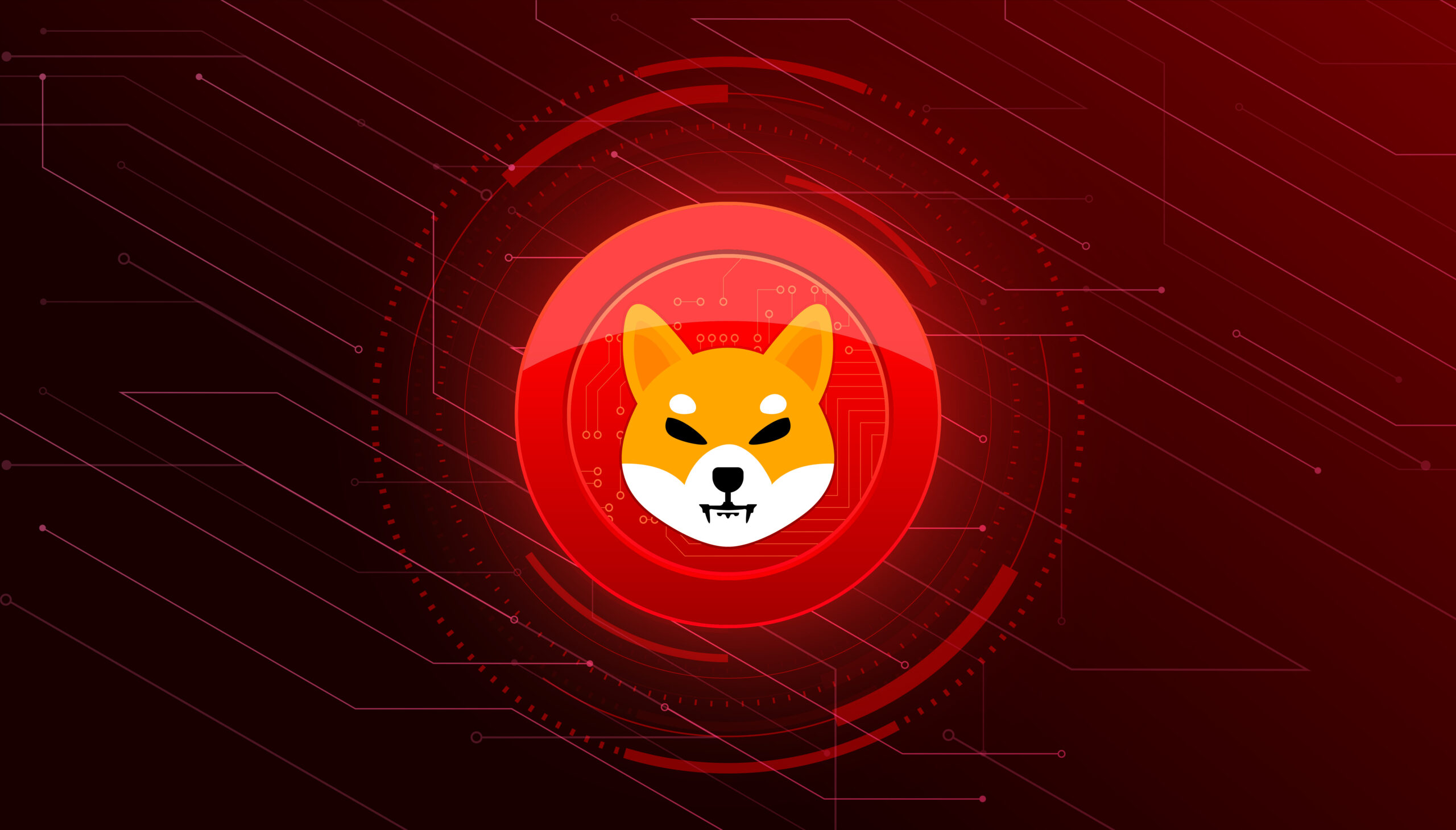 Shiba Inu Topluluğu Kartopu Gibi Büyüyor! İşte Güncel Veriler!