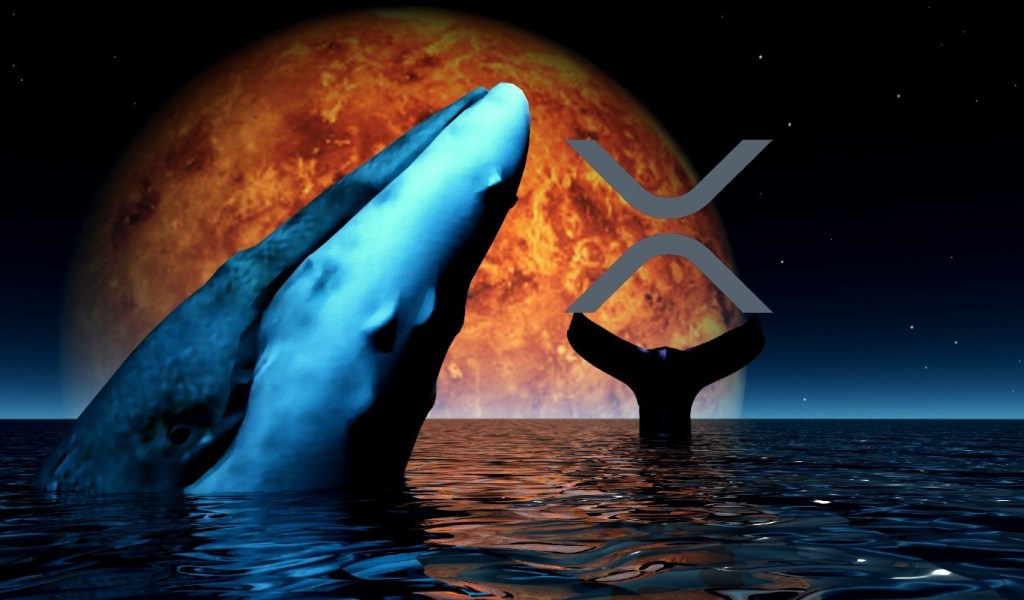 Santiment'ten Kritik Ripple Raporu: Tamam mı, Devam mı?
