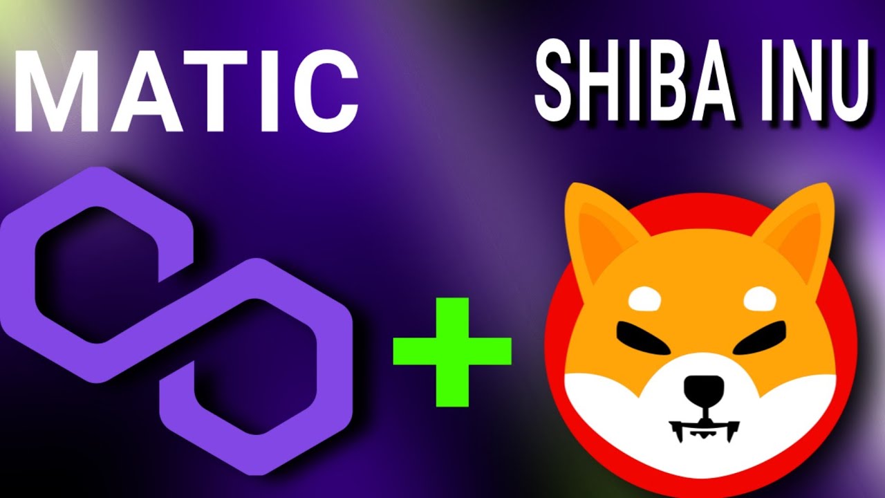 Shiba Inu ve MATIC Piyasaya Meydan Okuyor! Tamam mı, Devam mı?