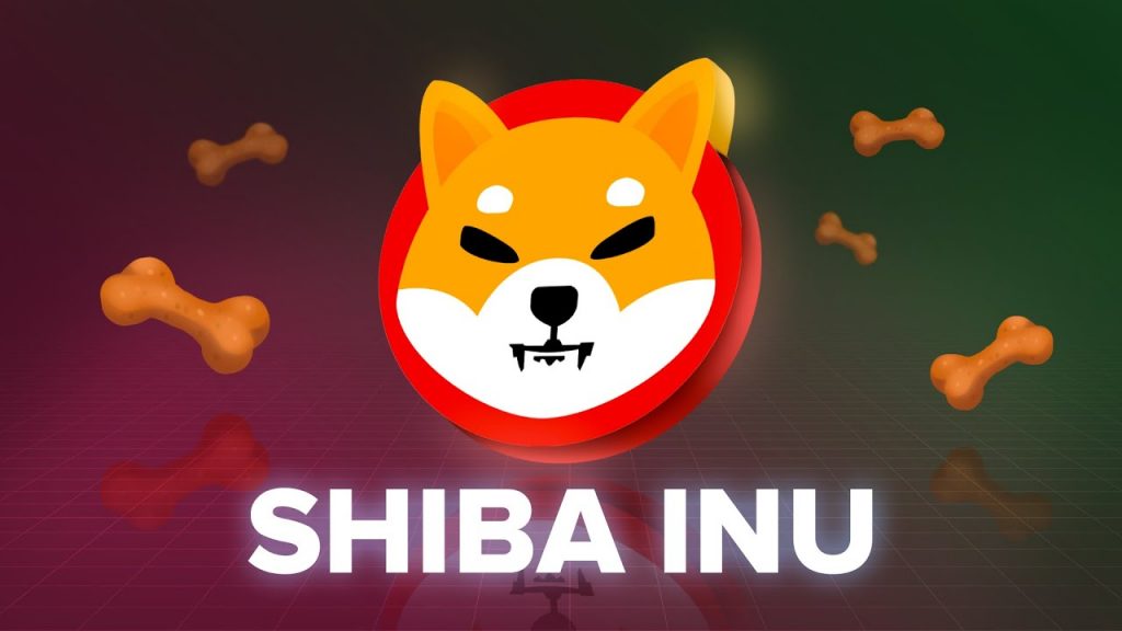 Günde Ortalama Kaç Kişi Shiba Inu Kervanına Katılıyor?